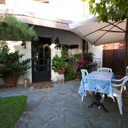 Case Vacanza La Ventura Massarosa Bagian luar foto