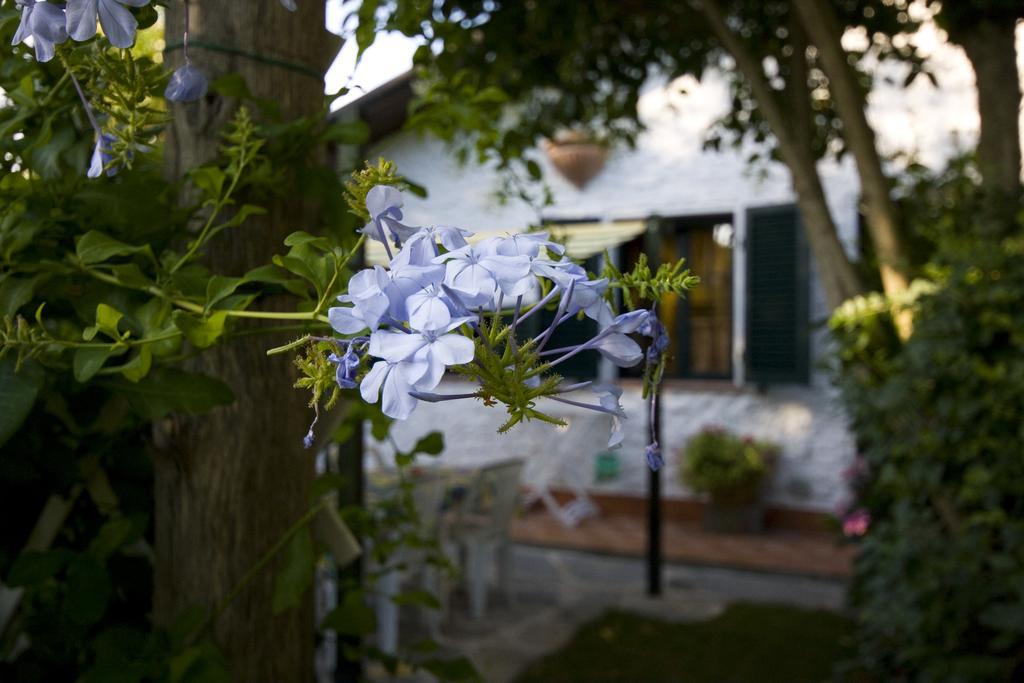 Case Vacanza La Ventura Massarosa Bagian luar foto